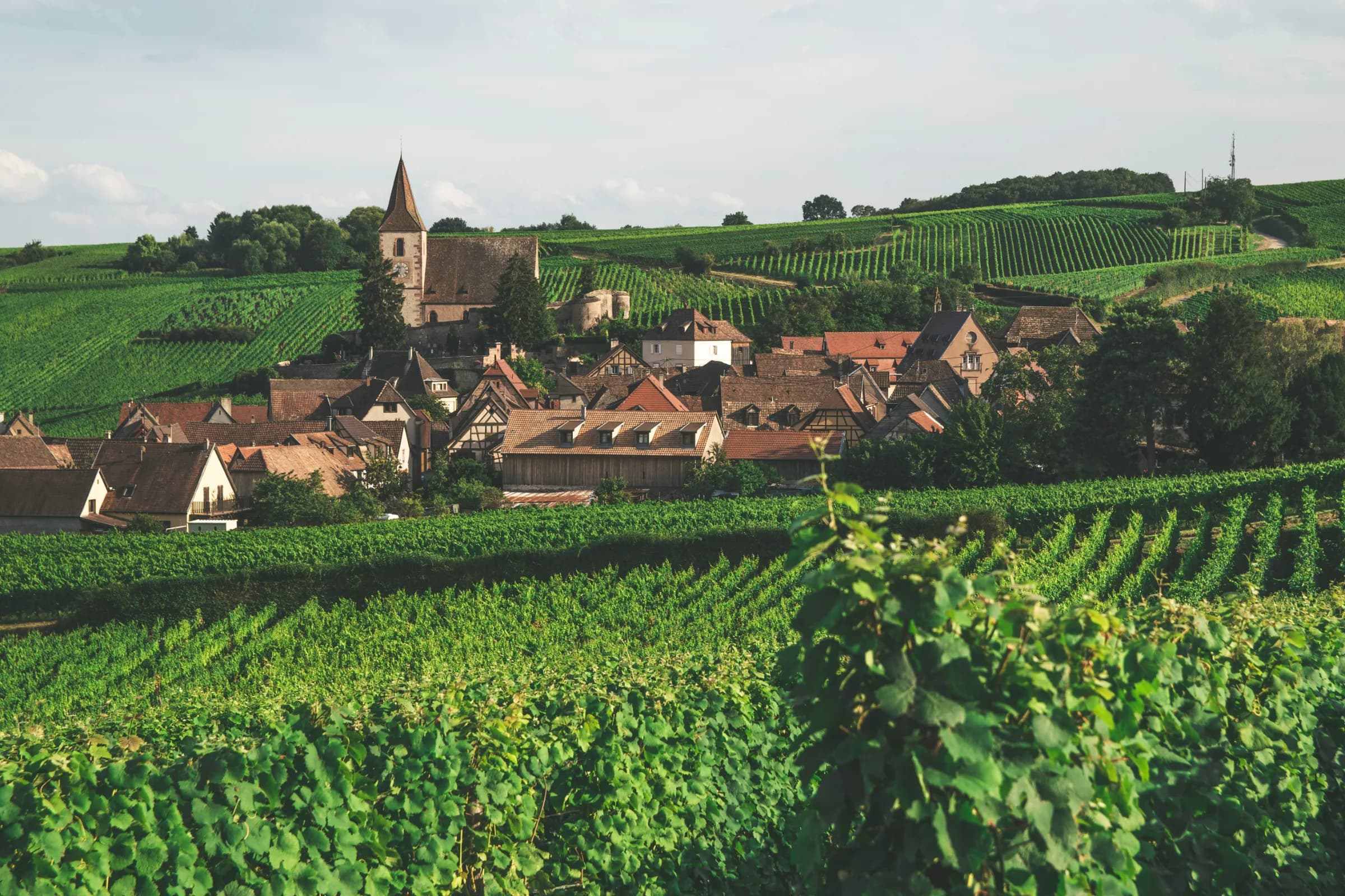 Alsace Spotlight