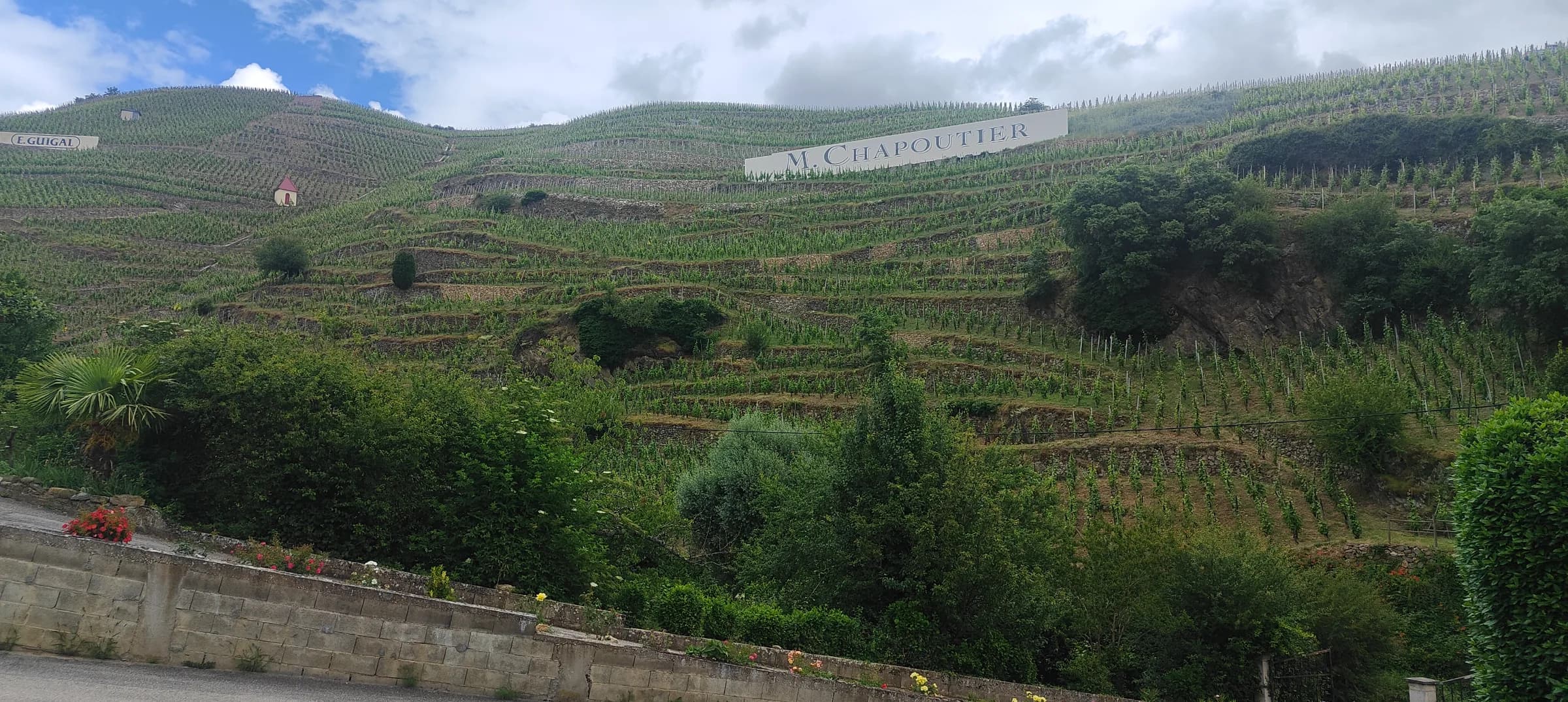 Northern Rhone Spotlight