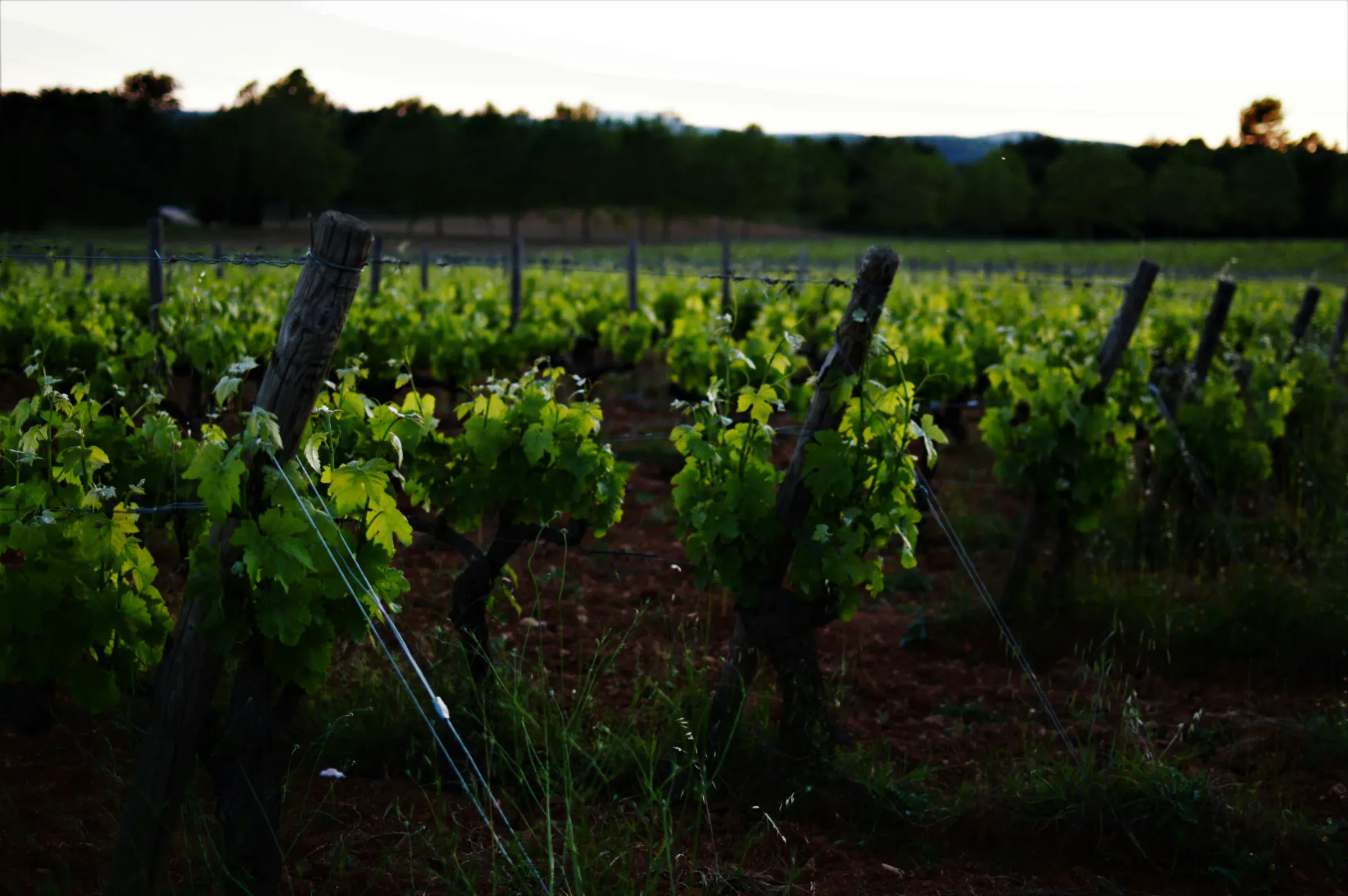 South of France Part I